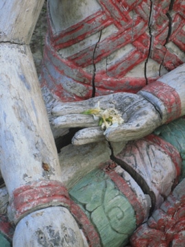bali-fissure